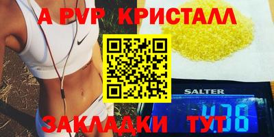 индика Пугачёв