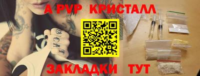 индика Пугачёв