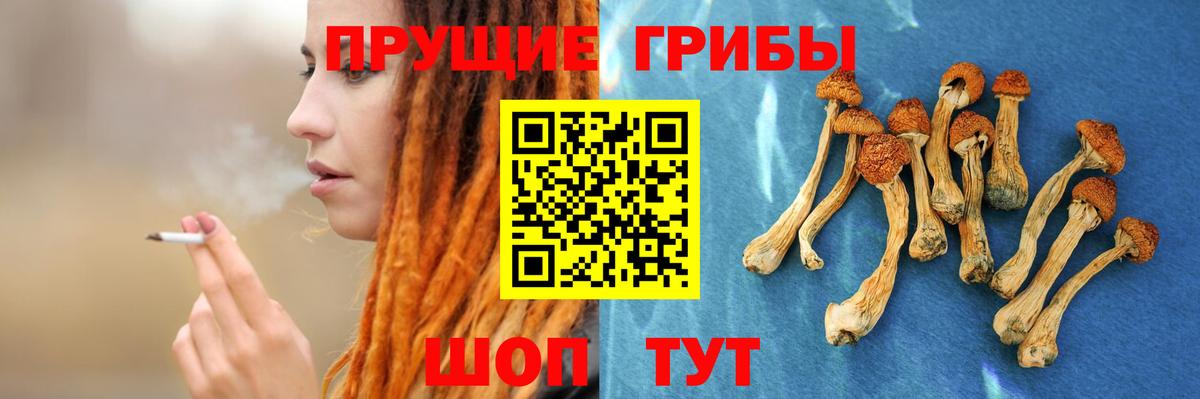 Галлюциногенные грибы Cubensis  Вход с VPN  купить  сайты  Петрозаводск 
